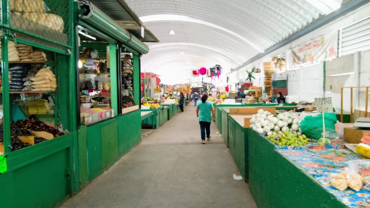 TIANGUIS DE LA ANTIGUA FERIA_AJO (1)